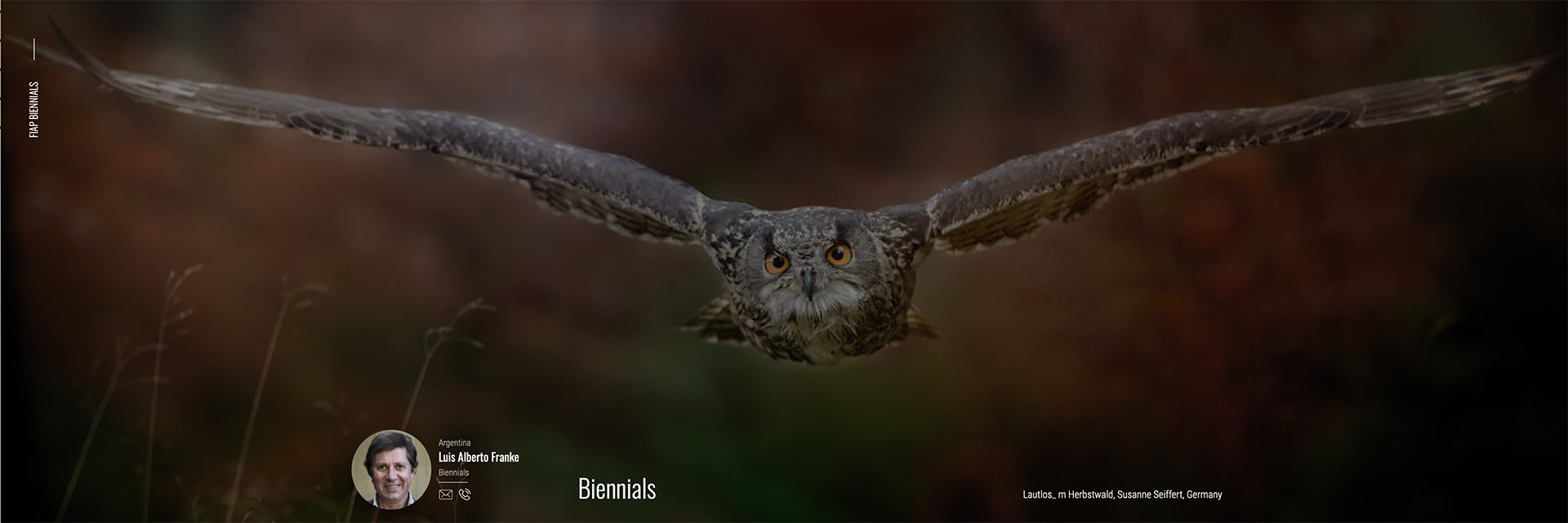 31st FIAP Colour Biennial – Ireland 2025 tulokset