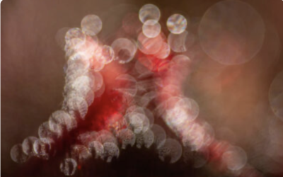 Kuvaesitysten Pohjoismainen Mestaruuskilpailu 2026