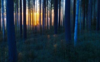 Maisemakuvauskurssi työpajana Loviisassa